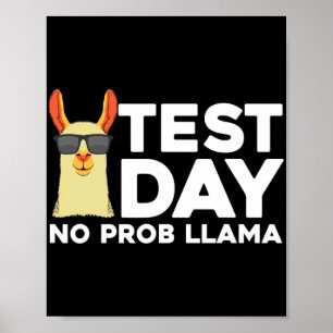 Poster Dia De Teste Para Mulheres Llama Homens Dia S De T