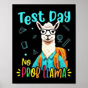 Poster Dia de Teste Sem Prob Llama Design Fofo Estudante
