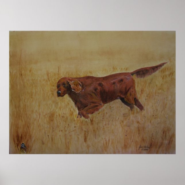 Póster Dia do Campo Irlandês (Frente)