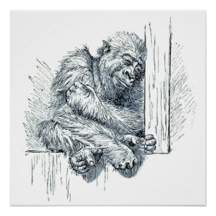 Póster Dia do Descanso - Jovem Ape Gorilla