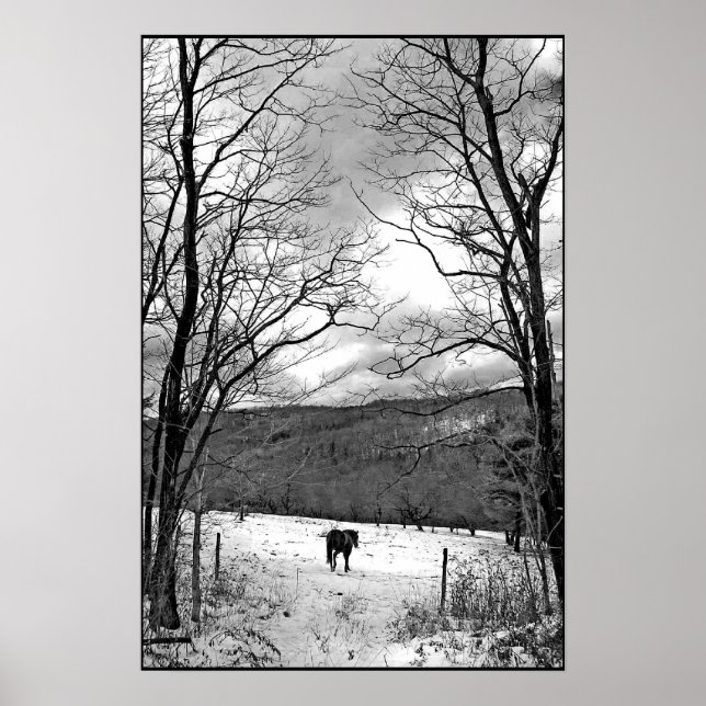 Póster Dia do inverno (Frente)