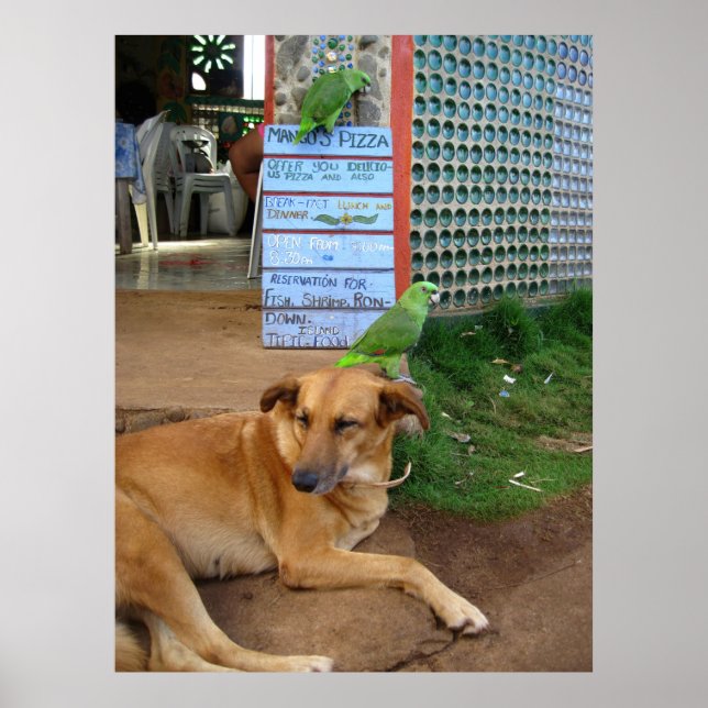 Poster Dia dos Cachorros na Ilha do Pequeno Milho (Frente)