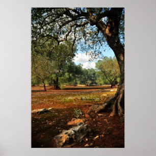 Póster Dia ensolarado no jardim verde-oliva