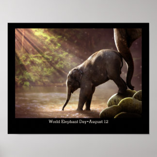 Poster Dia Mundial do Elefante