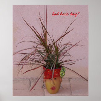 Póster dia ruim de cabelo?
