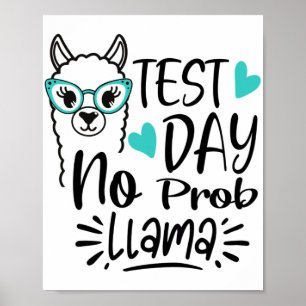Poster Dia sem Prob-llama Llama Testando o Professor Dia 