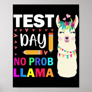 Poster Dia sem Prob-llama Llama Testando o Professor Dia 