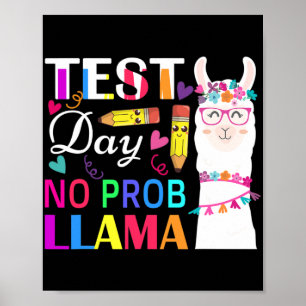 Poster Dia Sem Probe Llama Engraçado Professor Testando 2