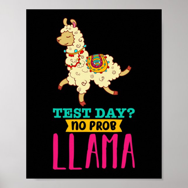 Poster Dia sem problema Camisa Llama Oferta de oferta (Frente)