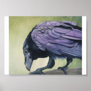 Poster Diablo O Corvo Água-forte em Papel Fino
