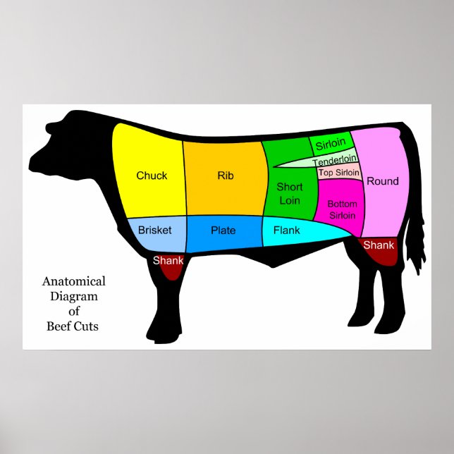 Póster Diagrama Anatômico dos Cortes Primários de Carne A (Frente)