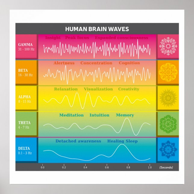 Poster Diagrama das ondas do cérebro humano - Cores do ar (Frente)