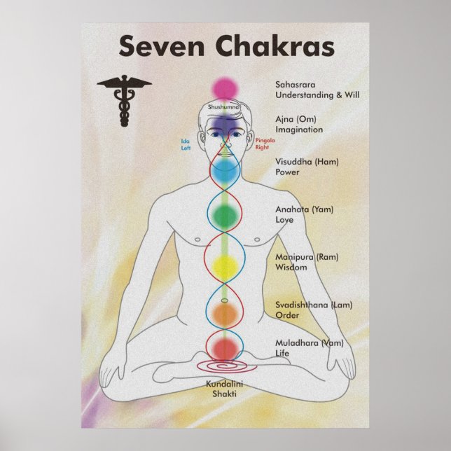 Poster Diagrama de Gráfico de Sete Chakras (Frente)