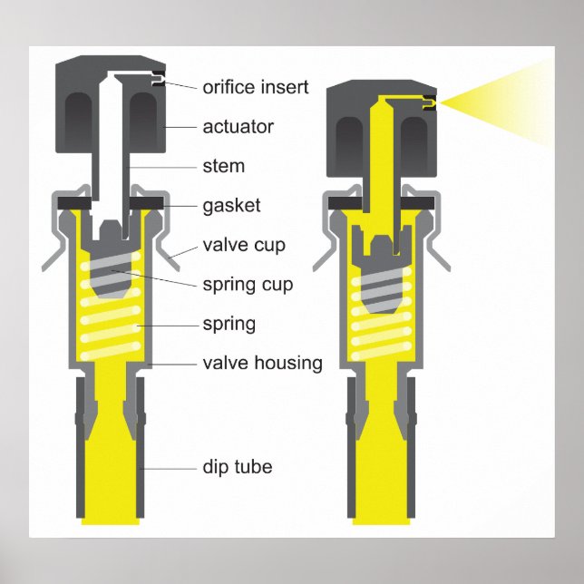Poster Diagrama de um sistema de válvula de pulverização  (Frente)