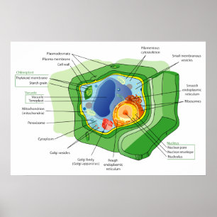 Poster Diagrama de uma estrutura de pilha típica da