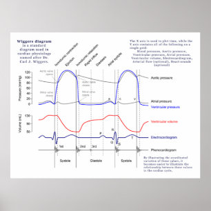 Póster Diagrama de Wiggers