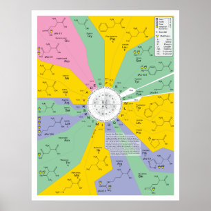 Póster Diagrama do código genético que mostra resíduos