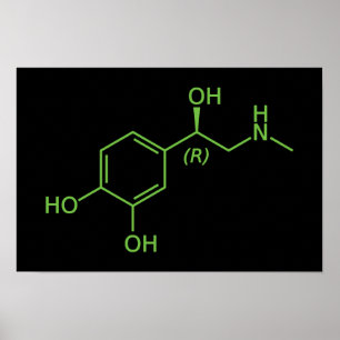 Póster Diagrama Químico da Molécula de Adrenalina
