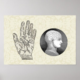 Póster Diagramas da Vintage Art Palmistry and Phrenology