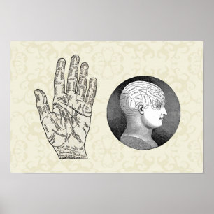 Póster Diagramas de Palmística e Frenologia da Arte Vinta