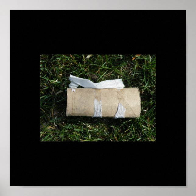 Póster Diamante no seu banheiro (Frente)