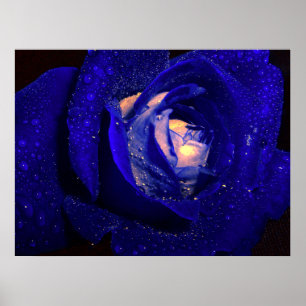 Poster diamantes azuis