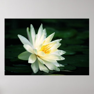 Póster Diante do Sol