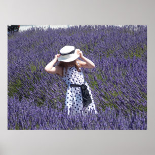 Poster Dias da lavanda