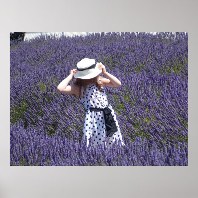Poster Dias de lavanda (Frente)