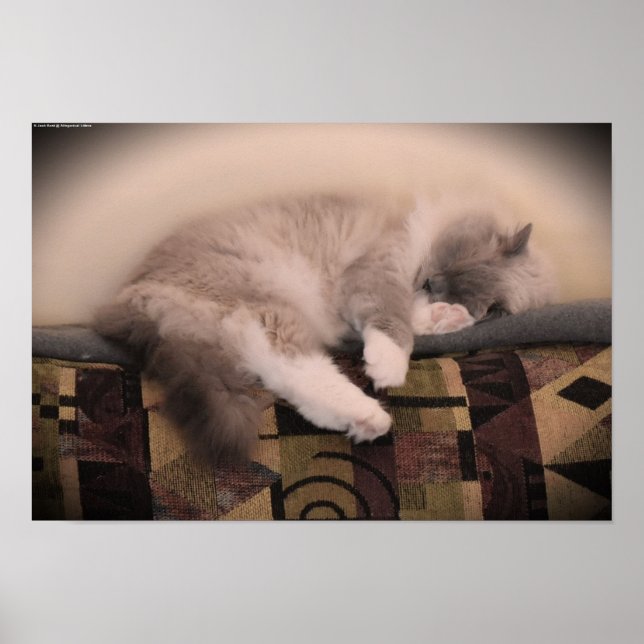 Poster Dias Lentos, (Frente)