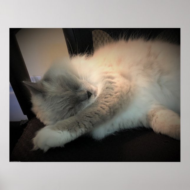 Poster Dias Lentos, (Frente)