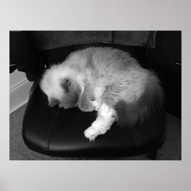 Poster Dias Lentos, (Frente)