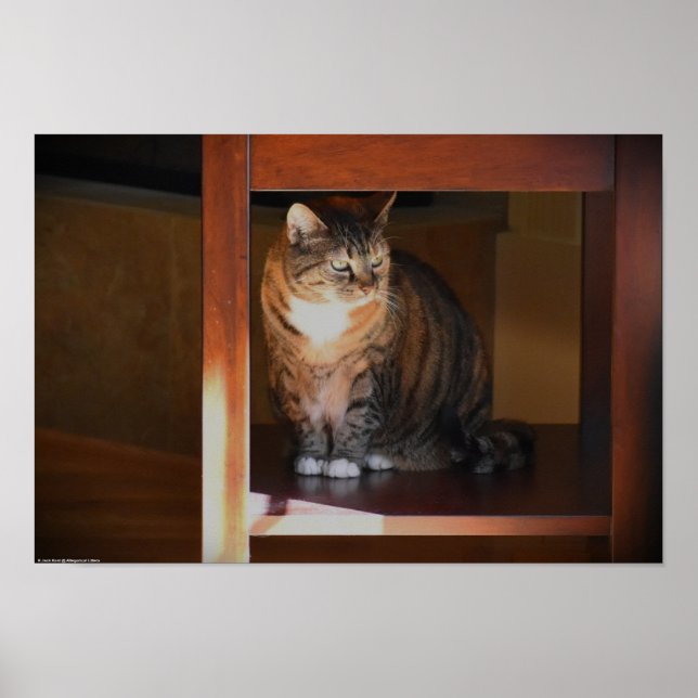 Poster Dias Lentos, (Frente)