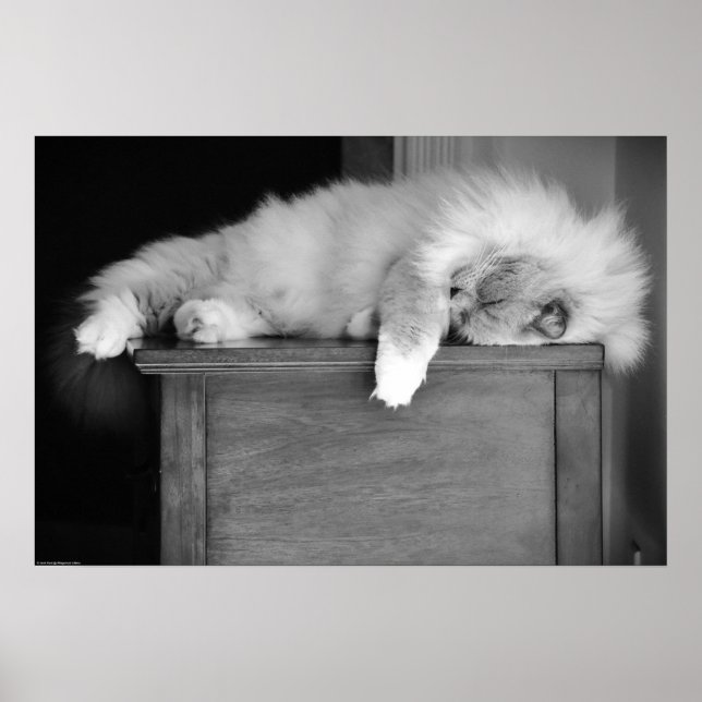 Poster Dias Lentos, (Frente)