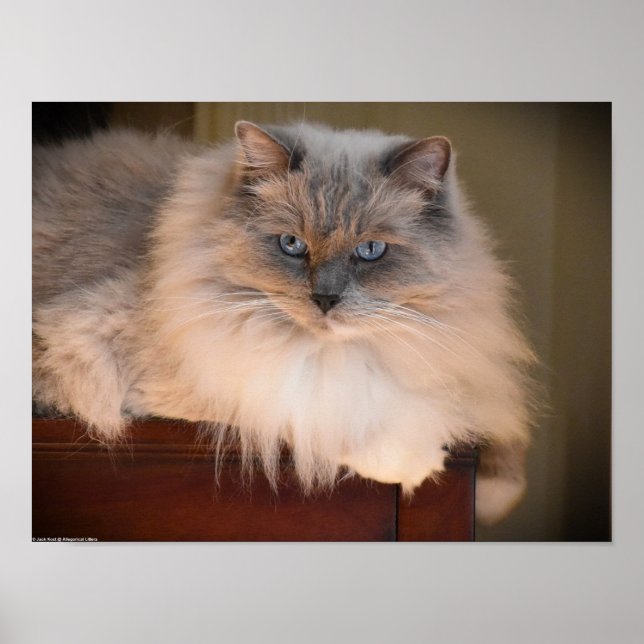 Poster Dias Lentos, (Frente)