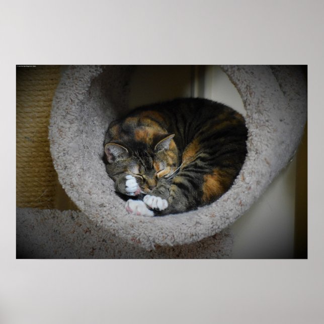 Poster Dias Lentos, (Frente)