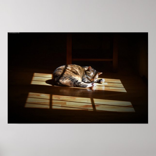 Poster Dias Lentos, (Frente)