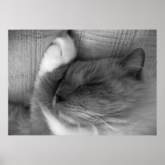 Poster Dias Lentos, (Frente)