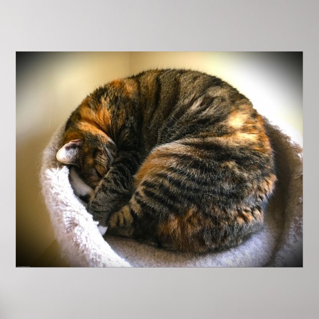 Poster Dias Lentos, (Frente)