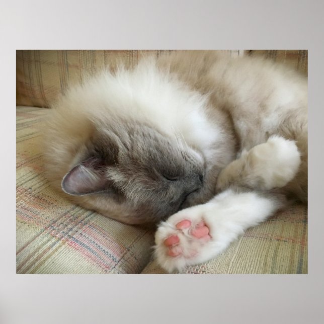 Poster Dias Lentos, (Frente)