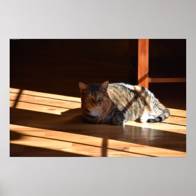 Poster Dias Lentos, (Frente)