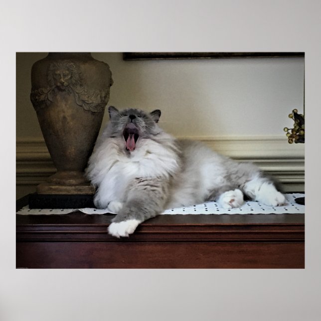 Poster Dias Lentos, (Frente)