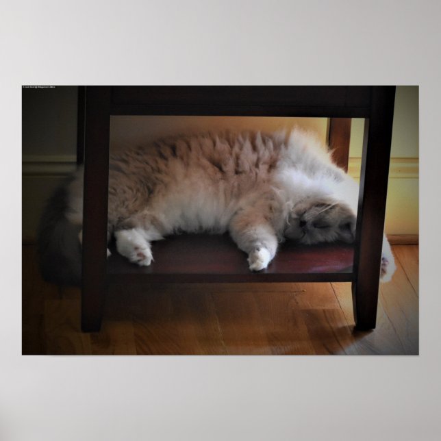 Poster Dias Lentos, (Frente)