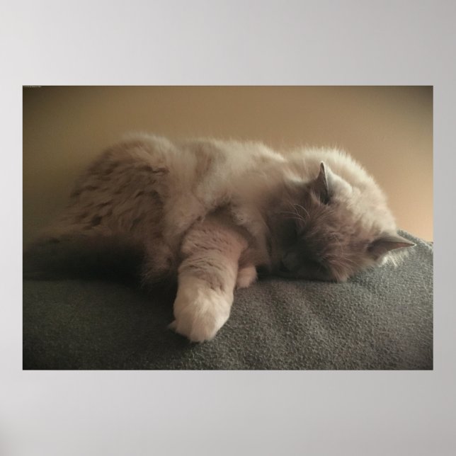 Poster Dias Lentos, (Frente)