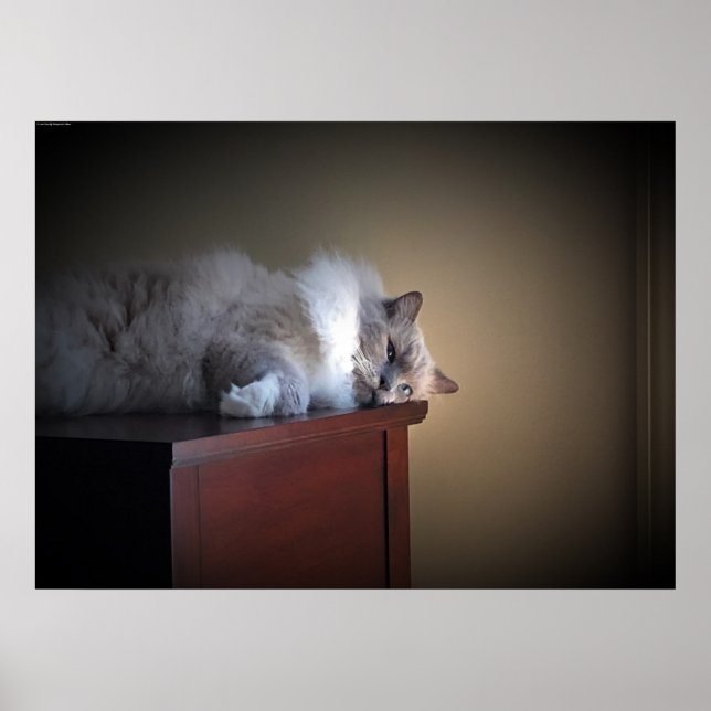 Poster Dias Lentos, (Frente)