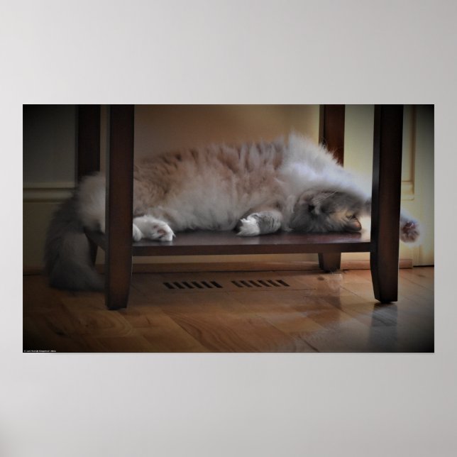 Poster Dias Lentos, (Frente)