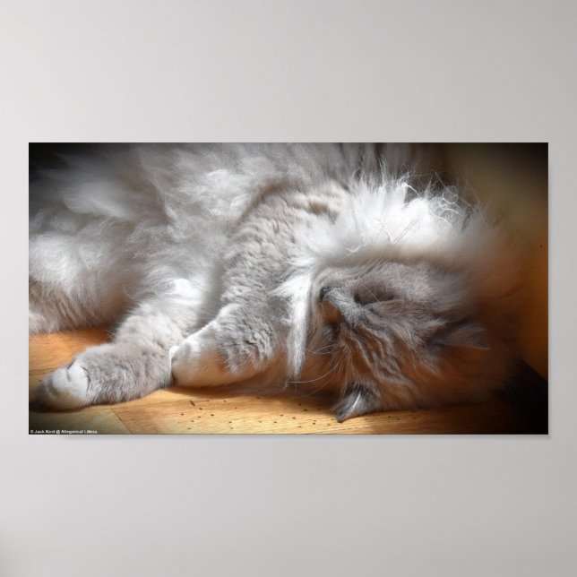 Poster Dias Lentos, (Frente)