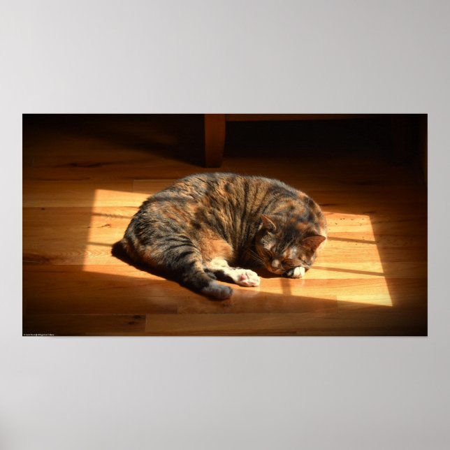 Poster Dias Lentos, (Frente)