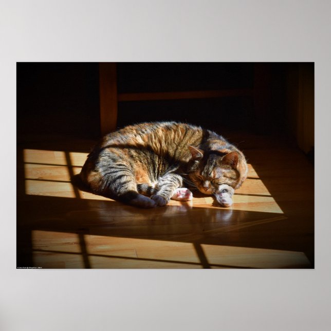 Poster Dias Lentos, (Frente)