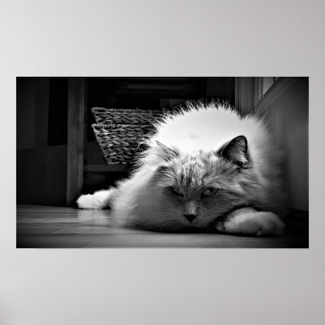 Poster Dias Lentos, (Frente)